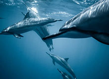 星空体育官网：在星光下畅享体育新体验